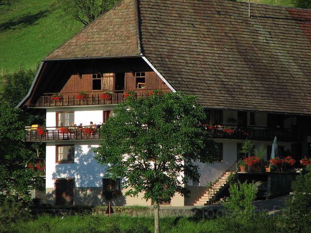 Oder Ferien auf dem Balkon.JPG